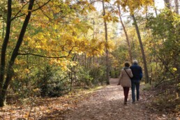 a couple walking on a path in the woods
